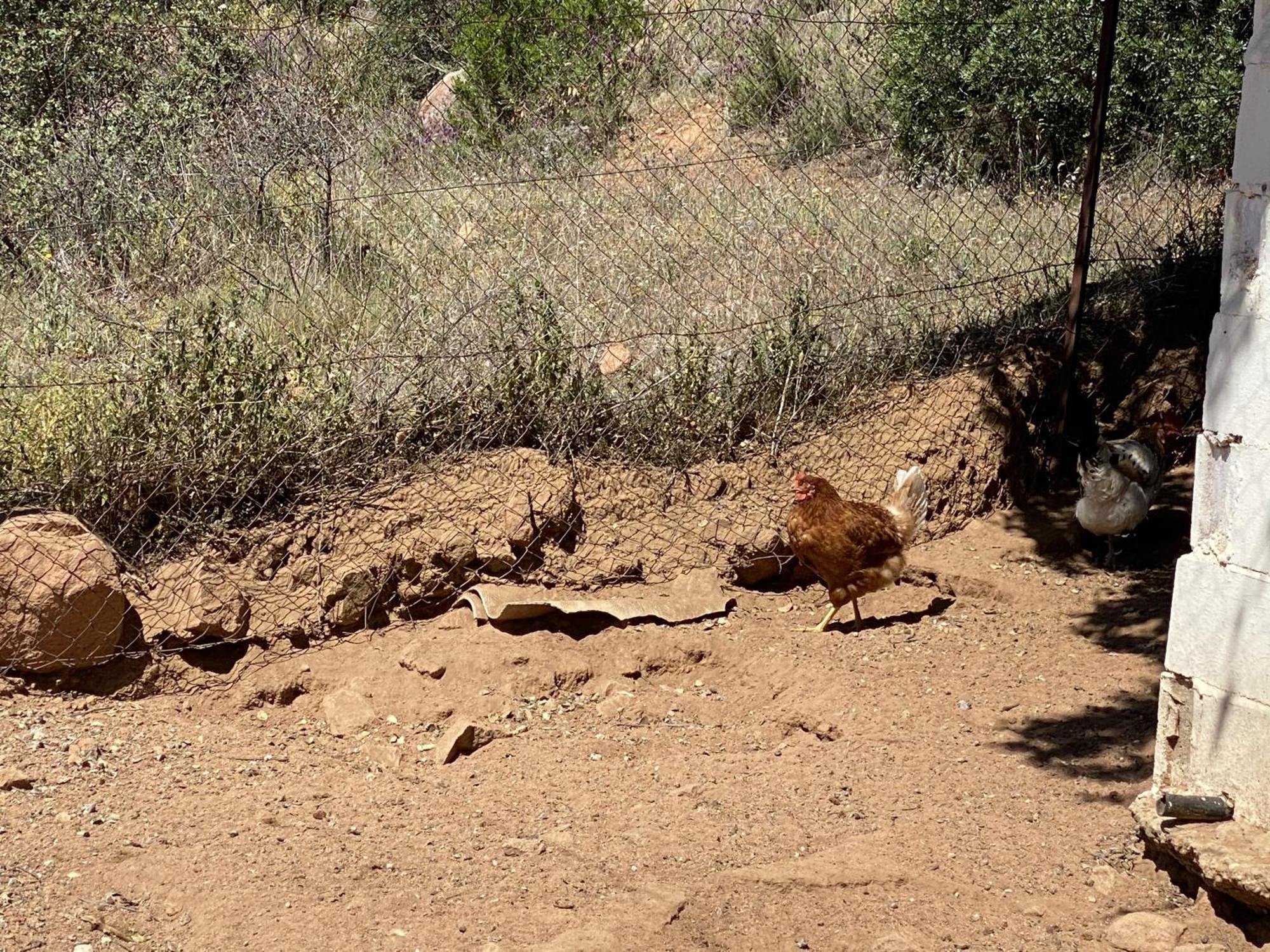 Las Chorreras Del Orejon 2 Villaviciosa de Córdoba Buitenkant foto