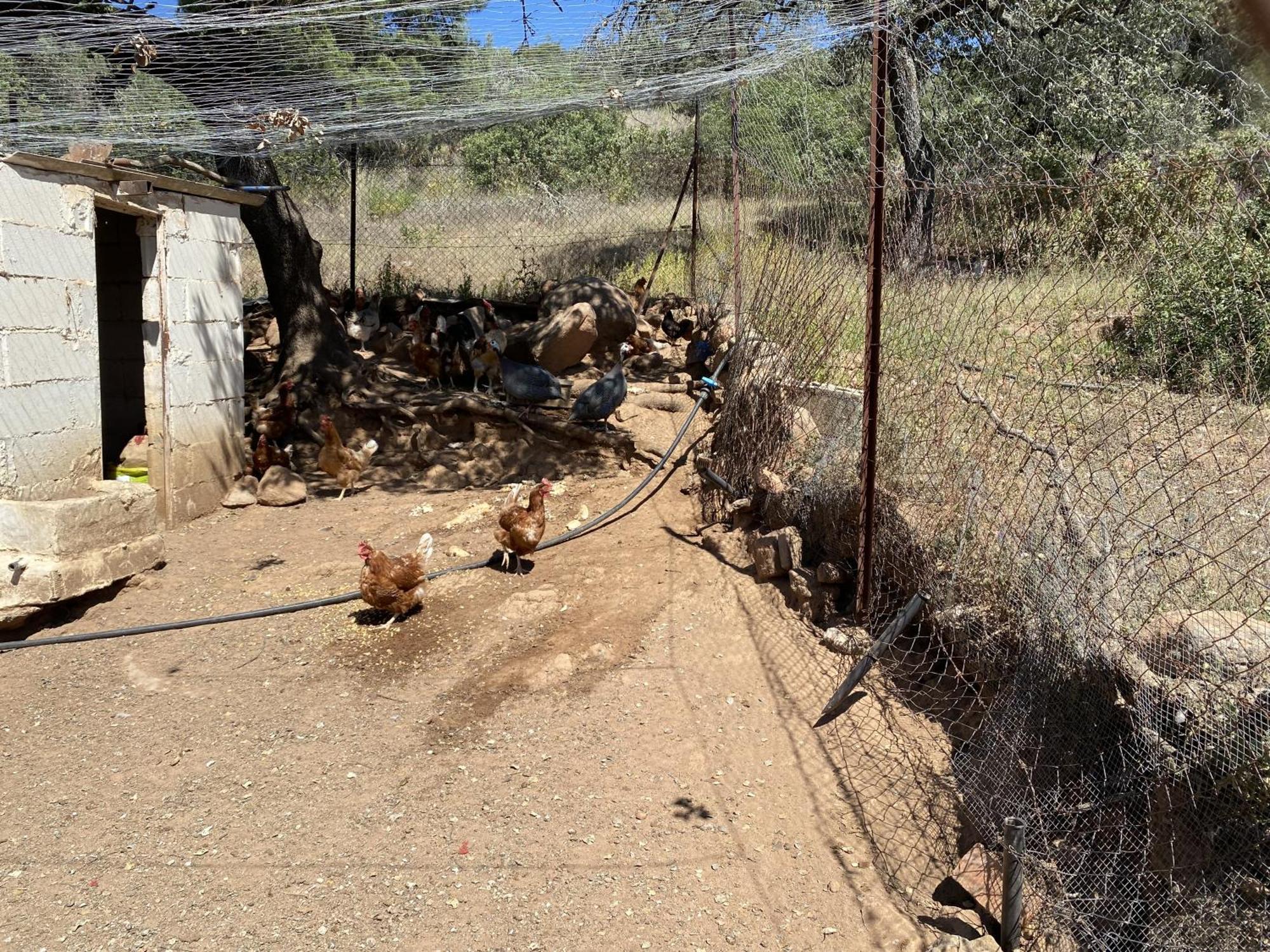 Las Chorreras Del Orejon 2 Villaviciosa de Córdoba Buitenkant foto