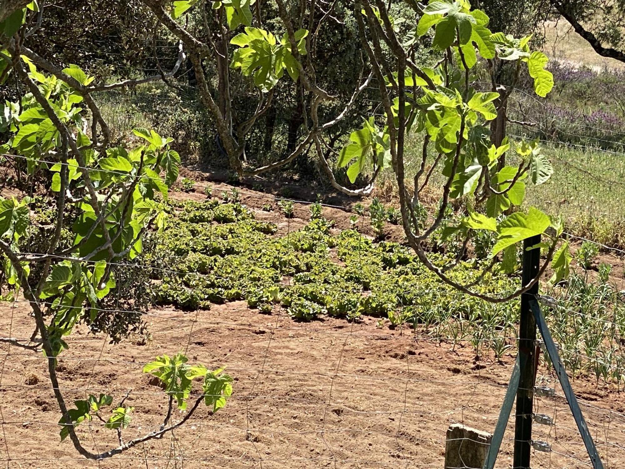 Las Chorreras Del Orejon 2 Villaviciosa de Córdoba Buitenkant foto